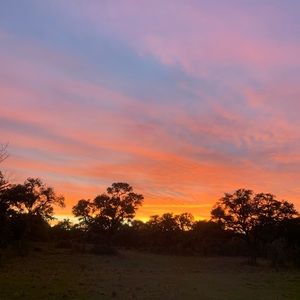 Meet your Posher, Harley